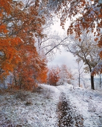 Осени и зима, фото