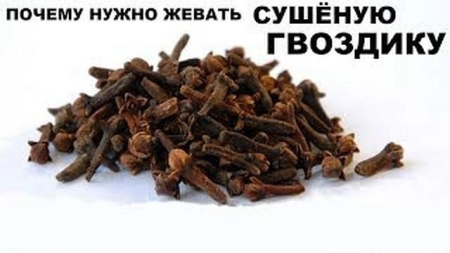 Жевать гвоздику полезно для здоровья