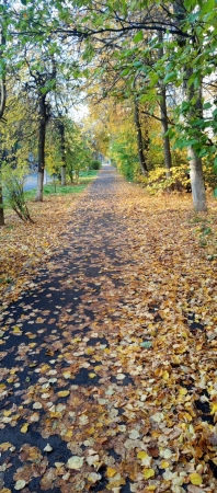 Жуковский, фотография, осень