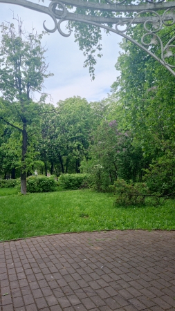 Жуковский, парк, лес