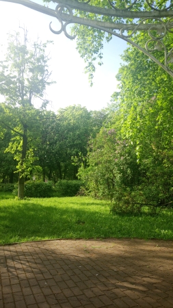 Жуковский, парк, лес
