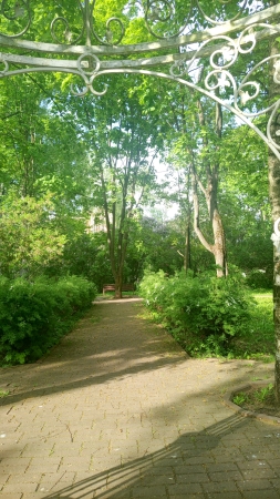 Жуковский, парк, лес
