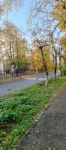 Красивый город Жуковский осенью